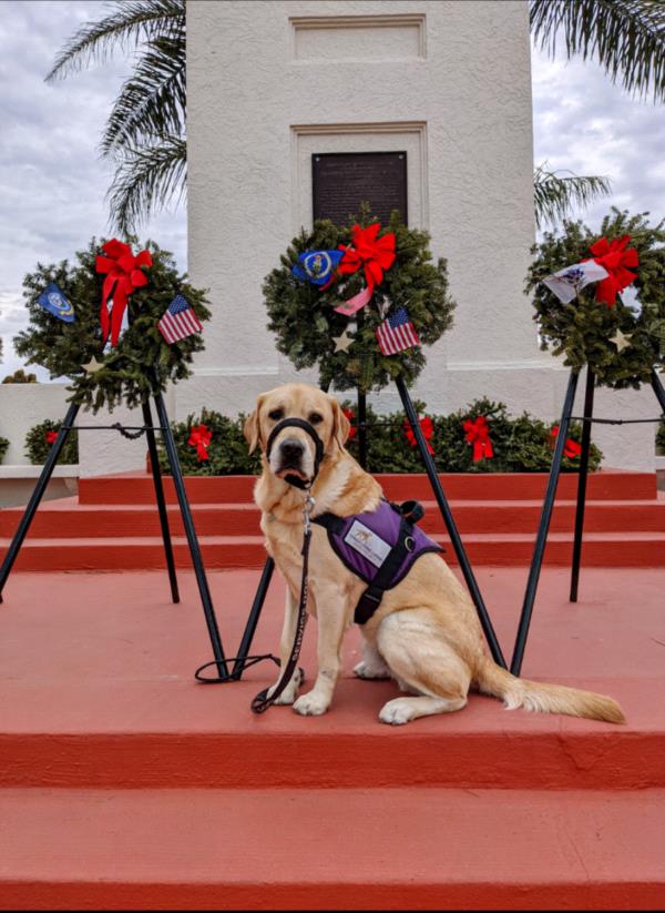 /Images/uploads/International Guiding Eyes Inc/gdapawsitivitycalendar/entries/20841thumb.jpg